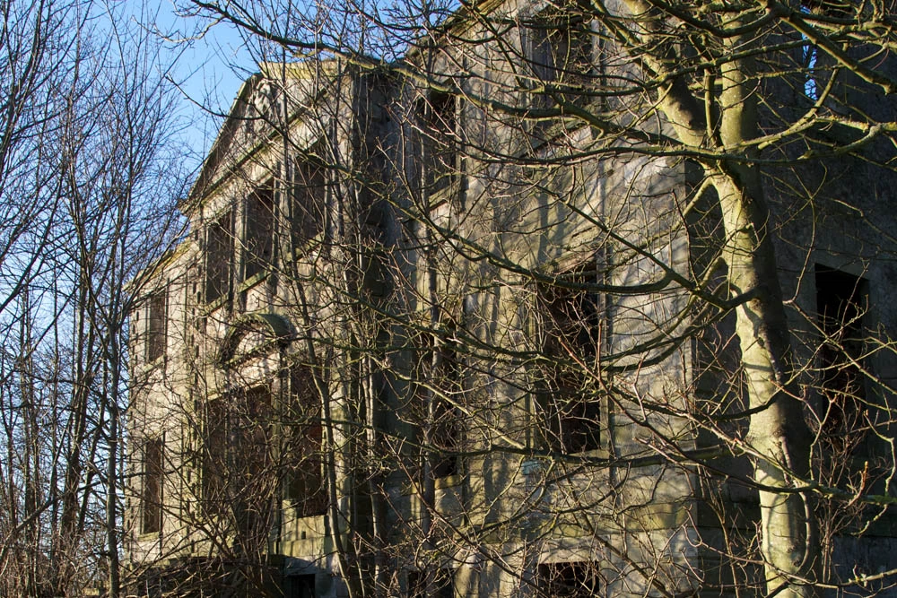 Ruined house behind trees